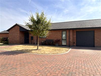 Picture 20